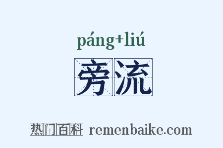 旁流是什么意思的图片